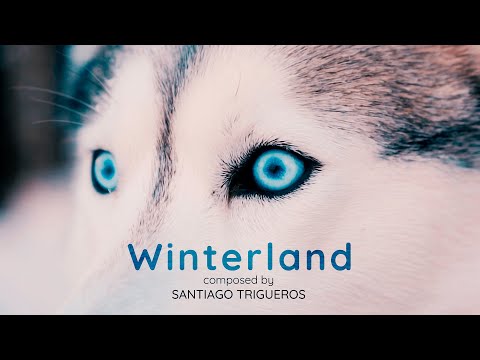 Winterland | Santiago Trigueros | Classical / Orchestral | Safe Creative