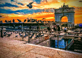 The Birds en Moncloa (C/Isaac Peral - Fdez de los R&iacute;os) | RAFAEL GARC&Iacute;A FL&Oacute;REZ | Photo | Safe Creative