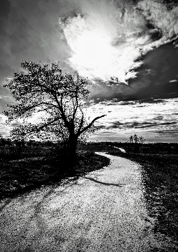 No me pertenece el paisaje. Vereda de Villaviciosa (Alcorc&oacute;n) | RAFAEL GARC&Iacute;A FL&Oacute;REZ | Photo | Safe Creative