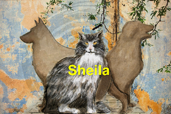 Sheila | Alejandro Ahumada Avila | Novel | Safe Creative