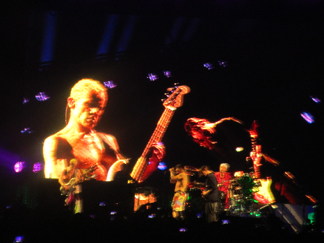 Concierto RHCP P1 | Iris Di Ro | Photo | Safe Creative