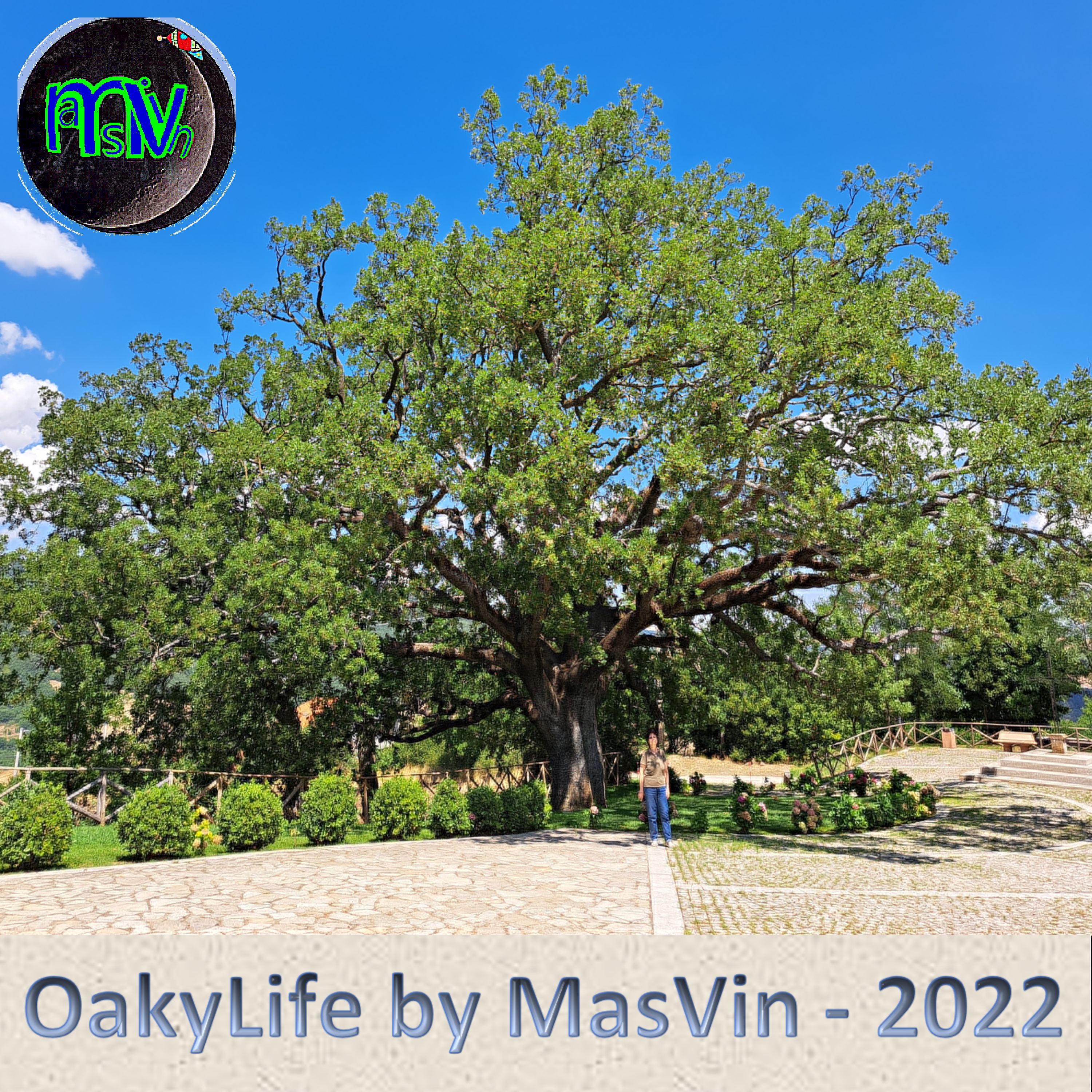 OakyLife | Vincenzo Mascello | category.null | Safe Creative