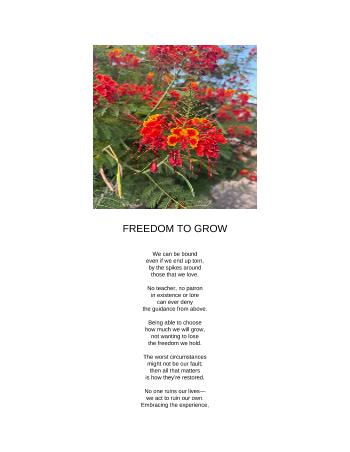 FREEDOM TO GROW | Elisa Bernal Hernandez | Poetry | Safe Creative