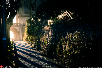 mistery passage | Mario A.P. | Photo | Safe Creative
