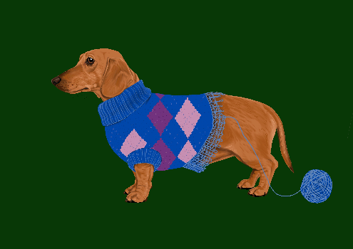 Perro salchicha con sueter | Pamela Vallejos  | Digital art | Safe Creative