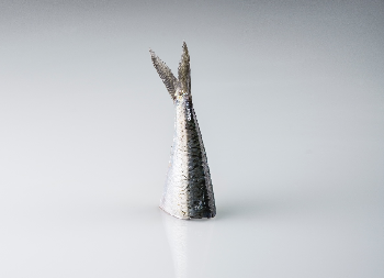 cola de sardina | Hugo Zapata | category.null | Safe Creative