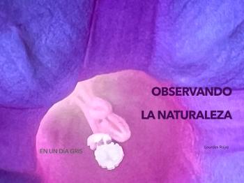 Sacando el color de un dia gris | LouRed | category.null | Safe Creative
