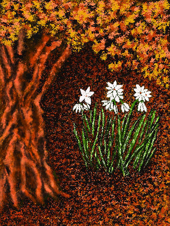 Flores de Oto&ntilde;o-2026 | Carol Sousa Cuello | Digital art | Safe Creative